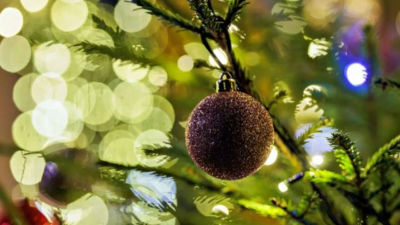 Фото: медиасток.рф