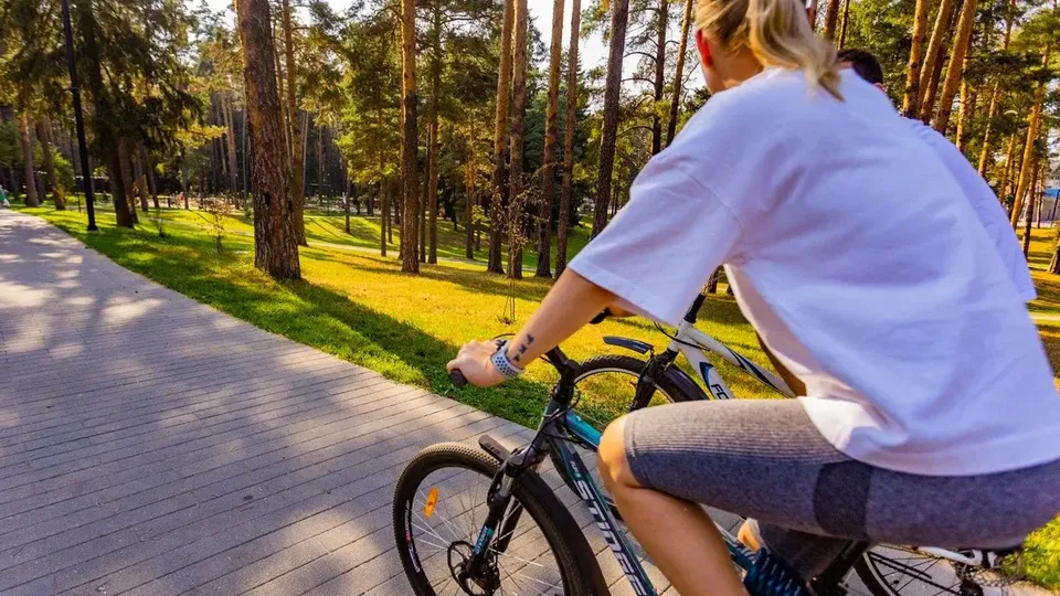 Фото: Министерство благоустройства Московской области