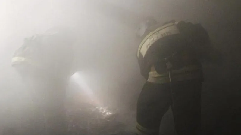 Сотню детей экстренно эвакуировали из вспыхнувшего садика в центре Москвы