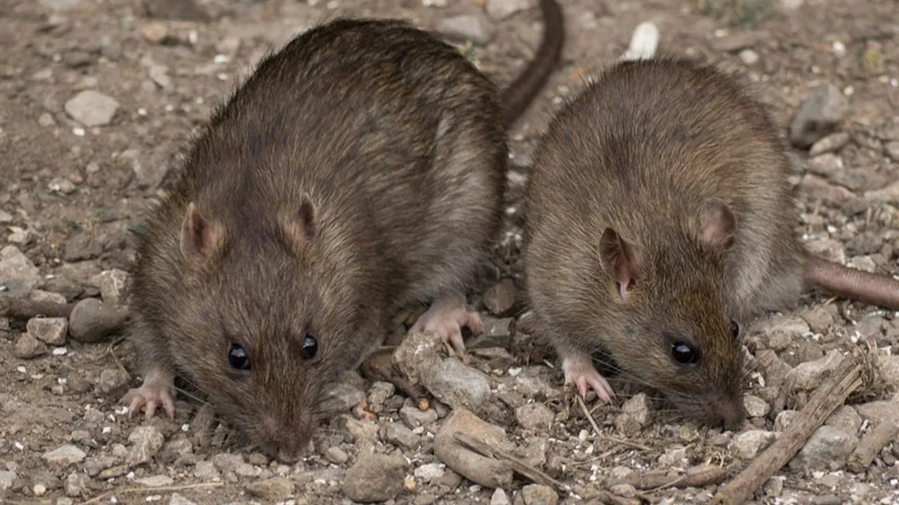 istockphoto.com/Victorburnside