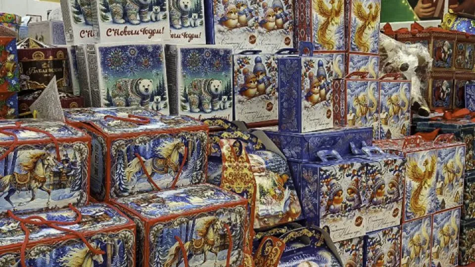 Фото: REGIONS/Эльвира Сафина