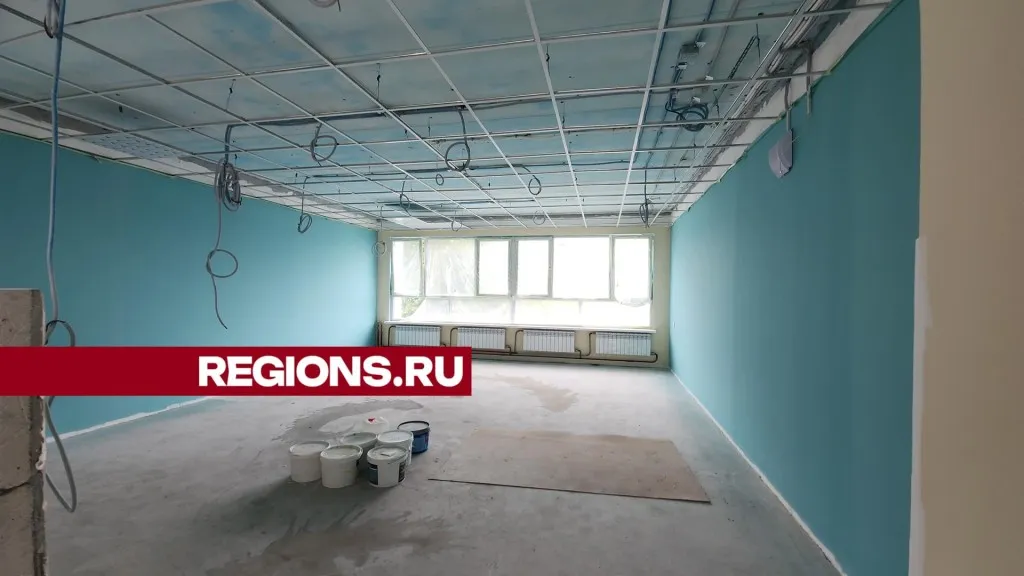 Фото: Александр Степушкин