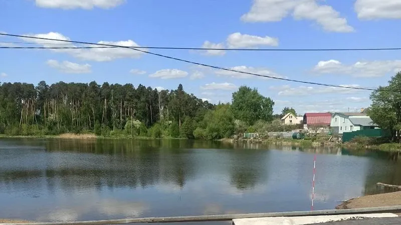 Фото: министерство экологии и природопользования Московской области