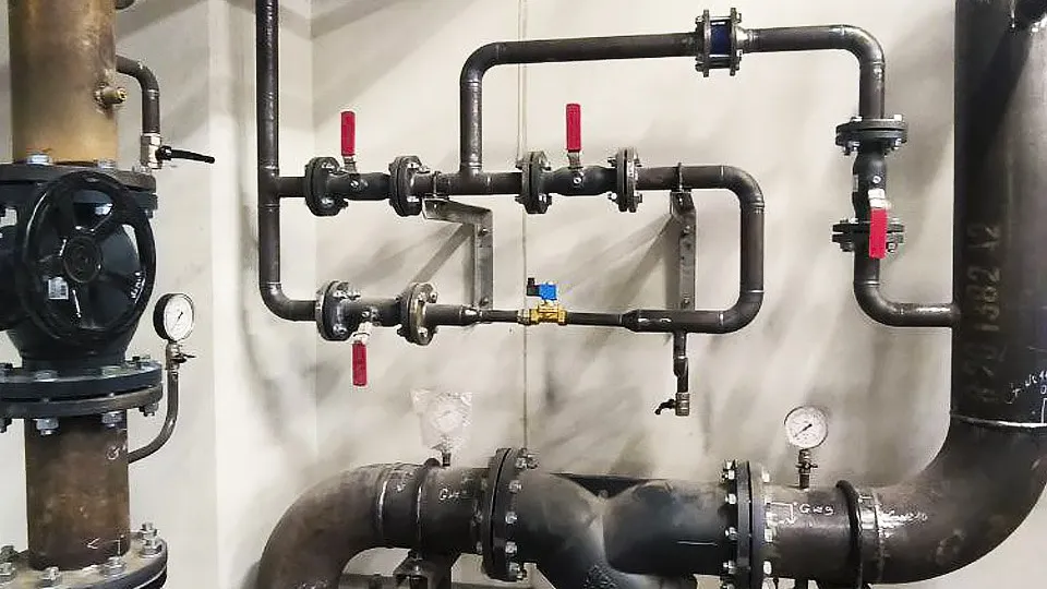 Фото: Роман Малышенко