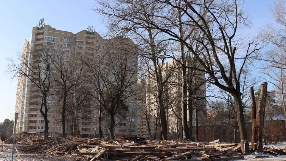 Фото: пресс-служба администрации г.о. Ступино