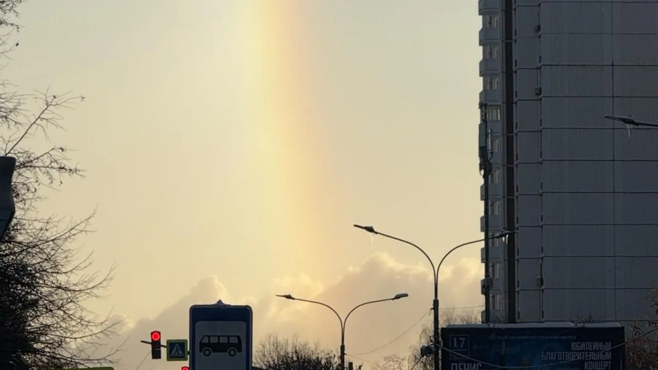 REGIONS/Елена Дронова