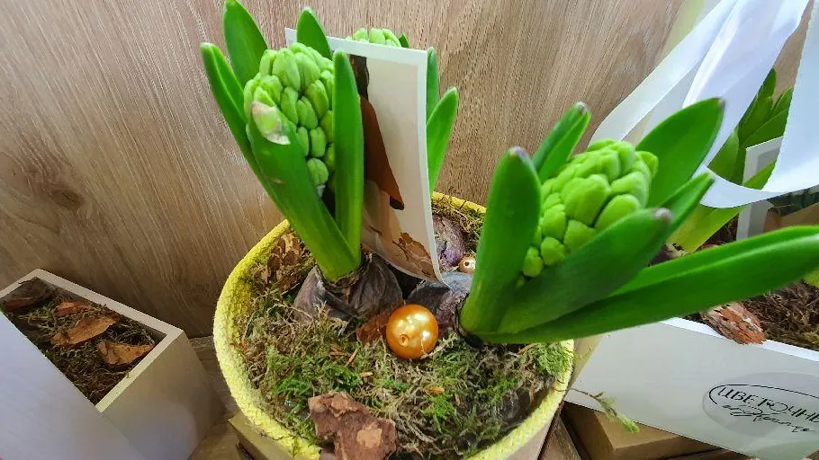 МедиаБанк Подмосковья/Наталия Надточая