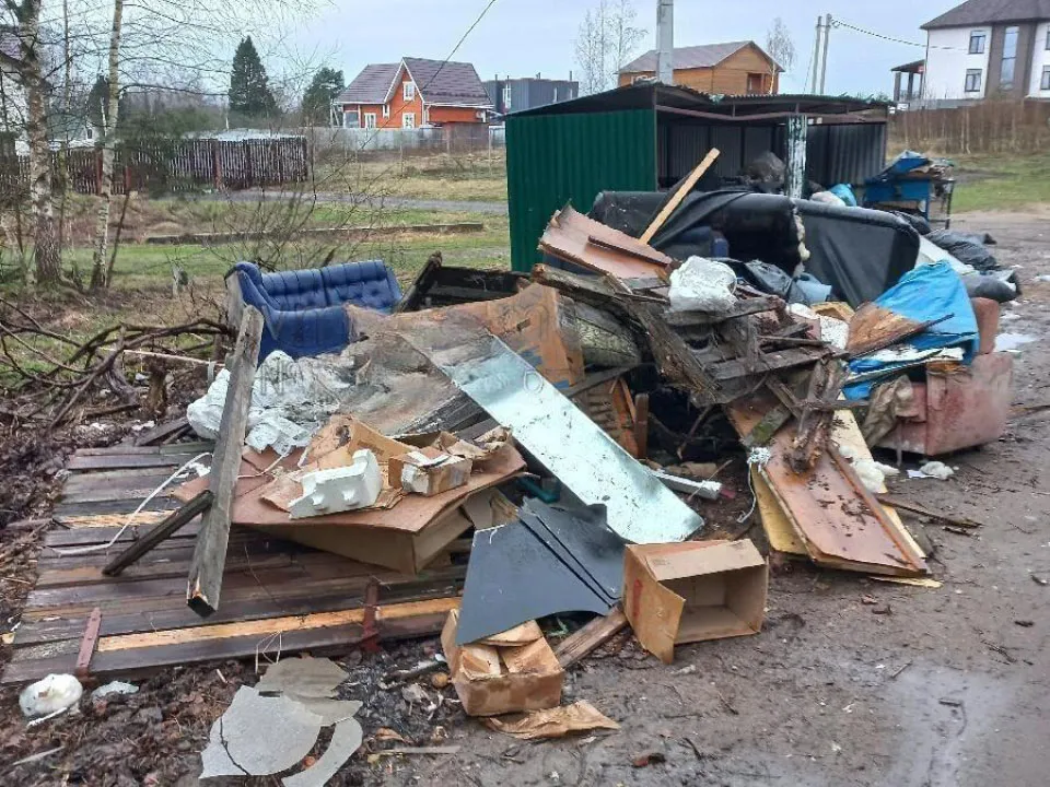 Фото: vmeste.mosreg.ru/Elenplatt