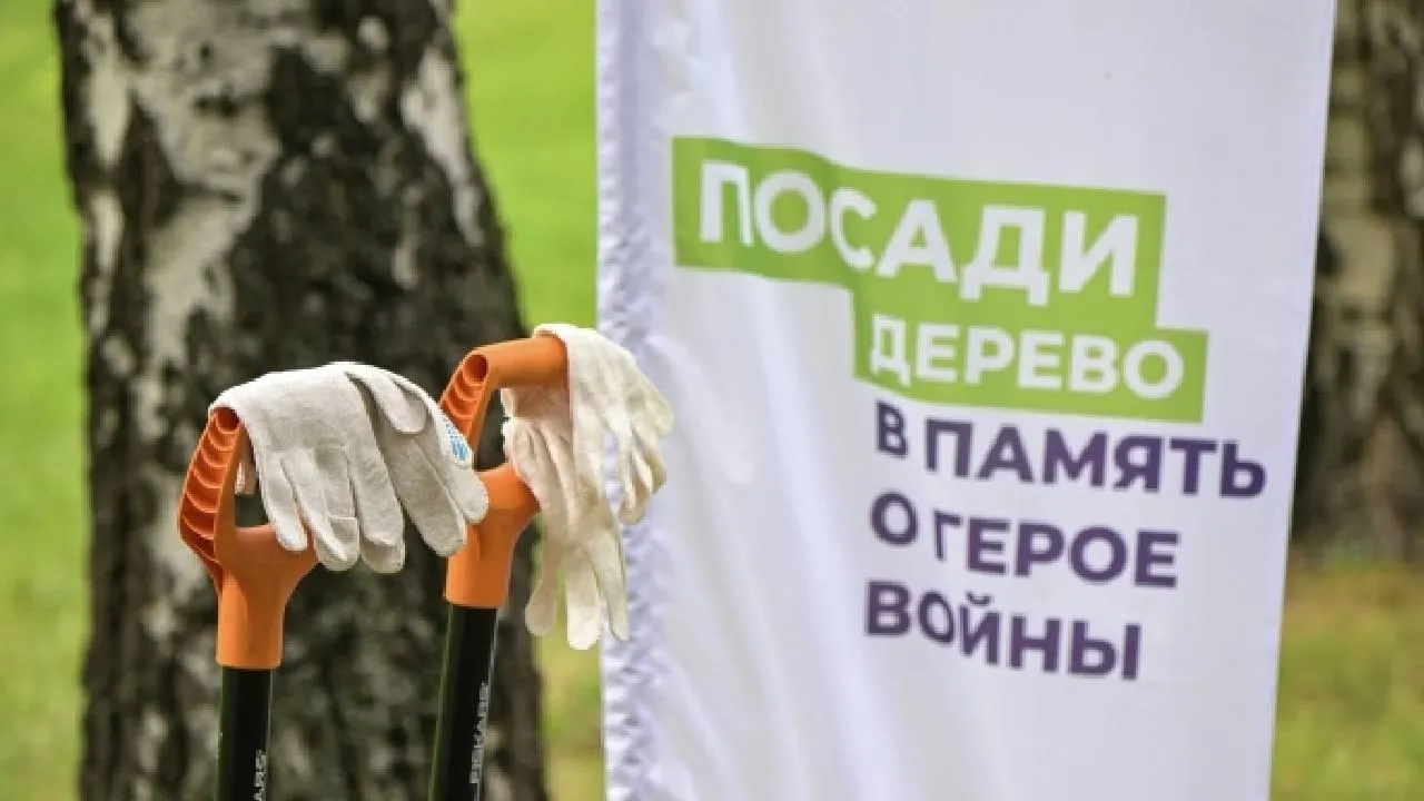 Патриотическая акция «Сад памяти» в Хабаровске набирает обороты