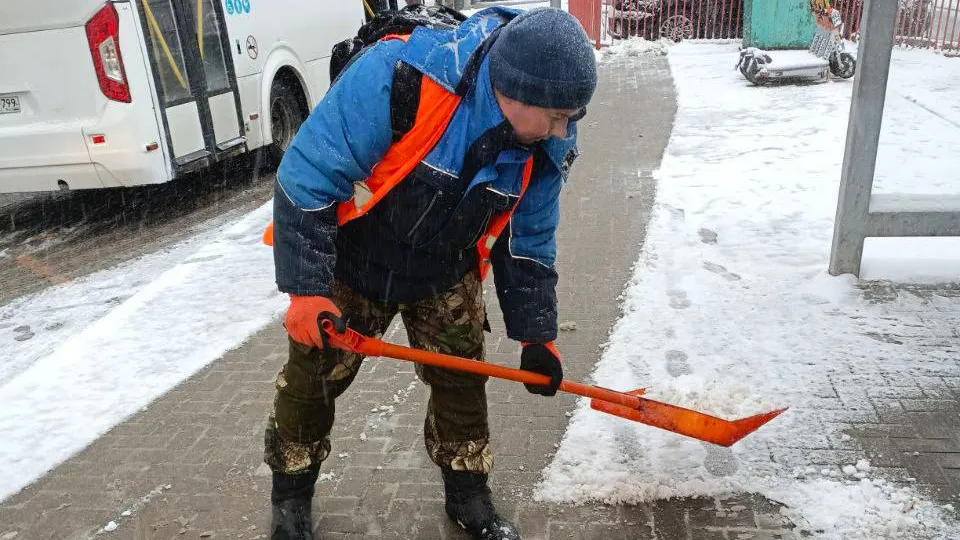 Фото: пресс-служба администрации г.о. Красногорск