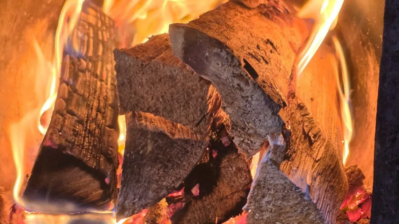 Фото: REGIONS/Анастасия Широкая