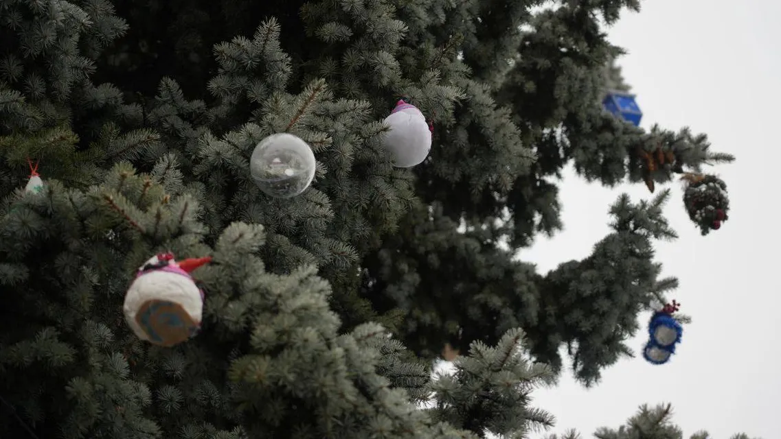 Фото: t.me/OErohanovaSP