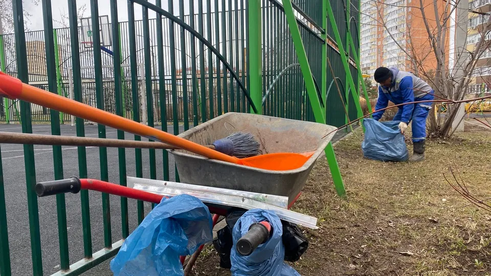 Фото: Медиаархив Подмосковья