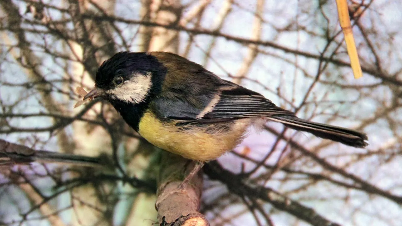 медиасток.рф