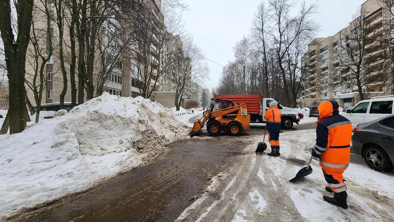 REGIONS/Анна Мороз