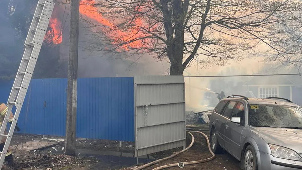 Фото: Василий Тремасов