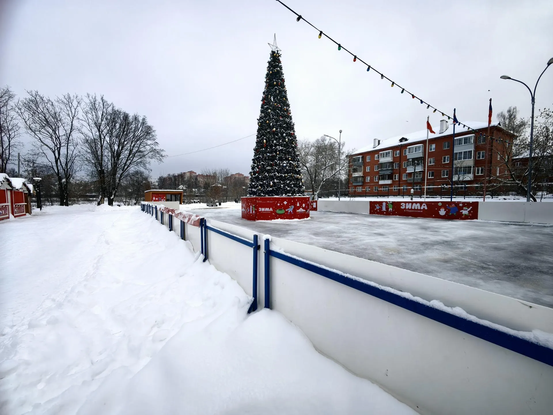 Елена Катасонова