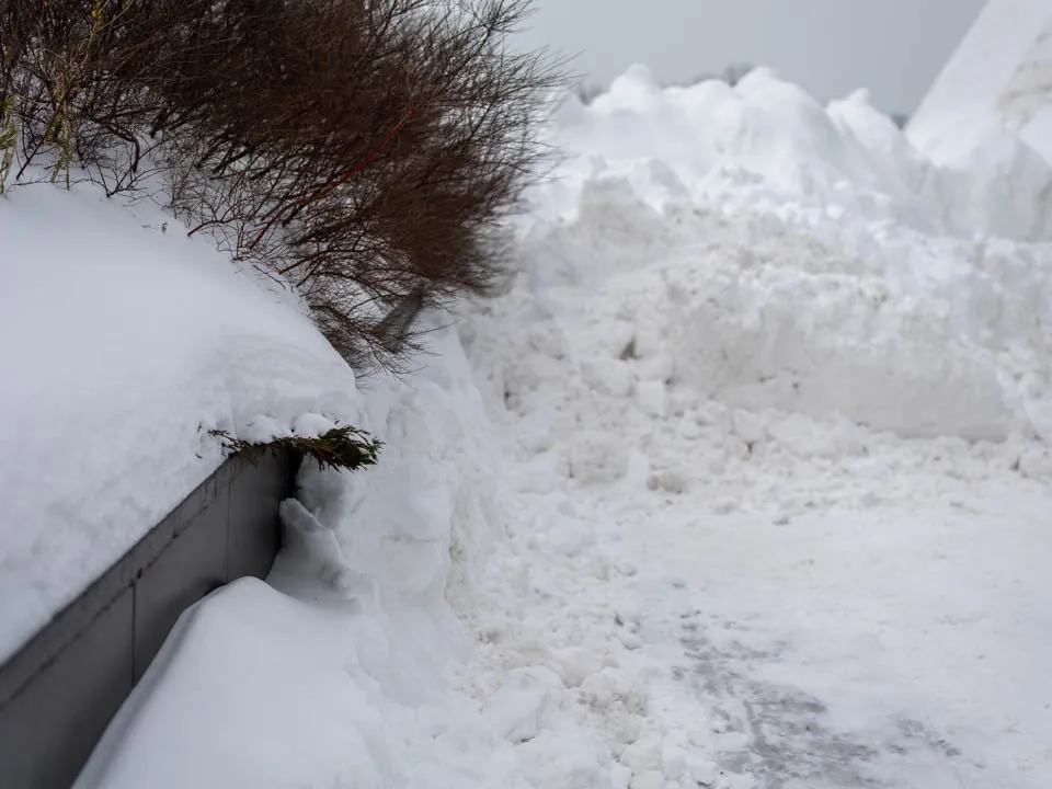 Фото: REGIONS/Роман Малышенко