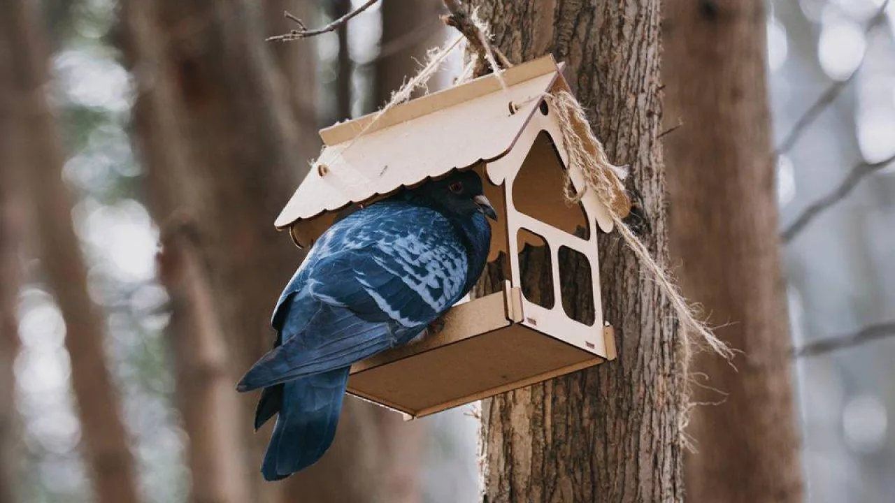 REGIONS/Анастасия Кульшенко