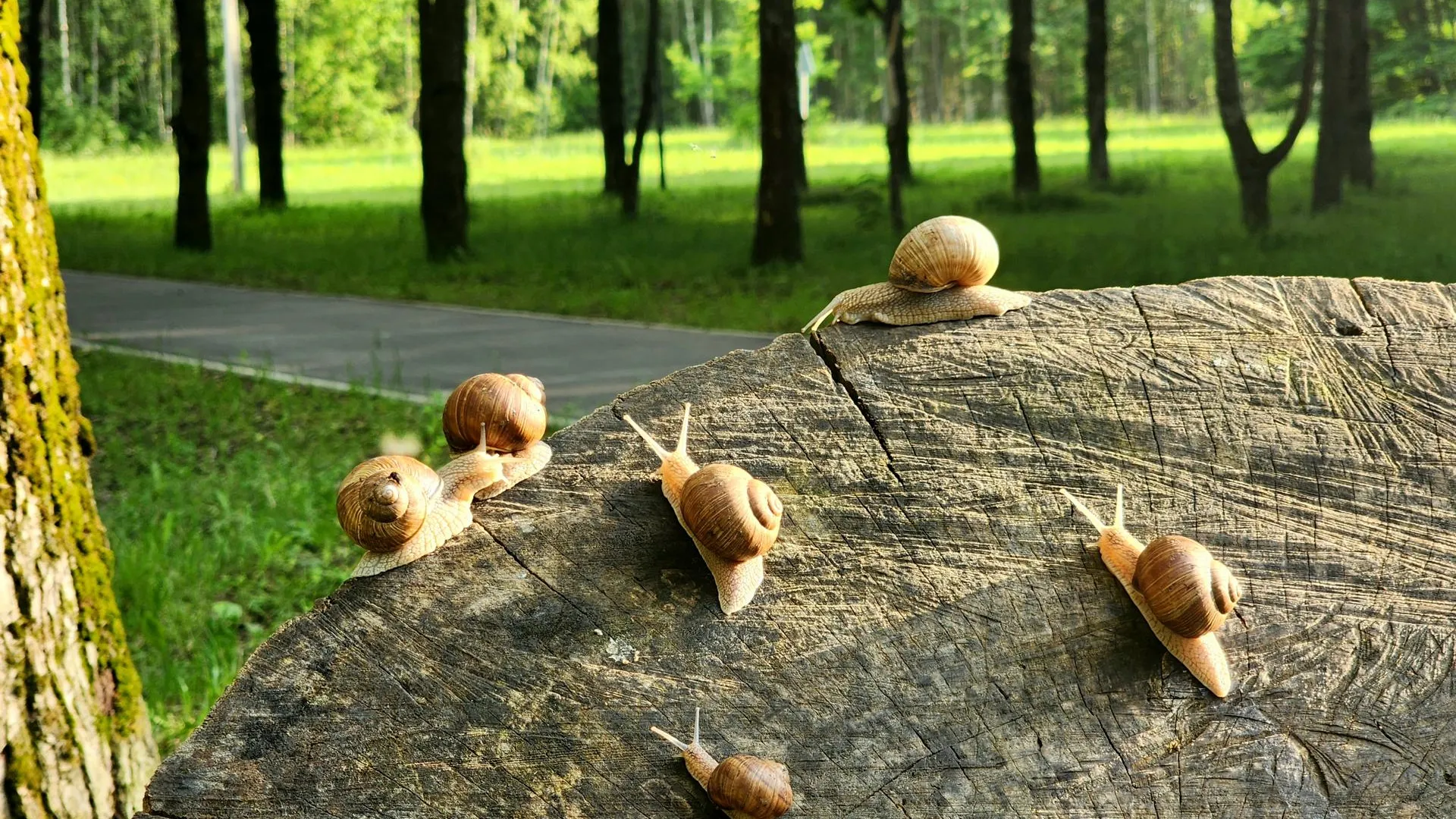 Фото: Мария Панина