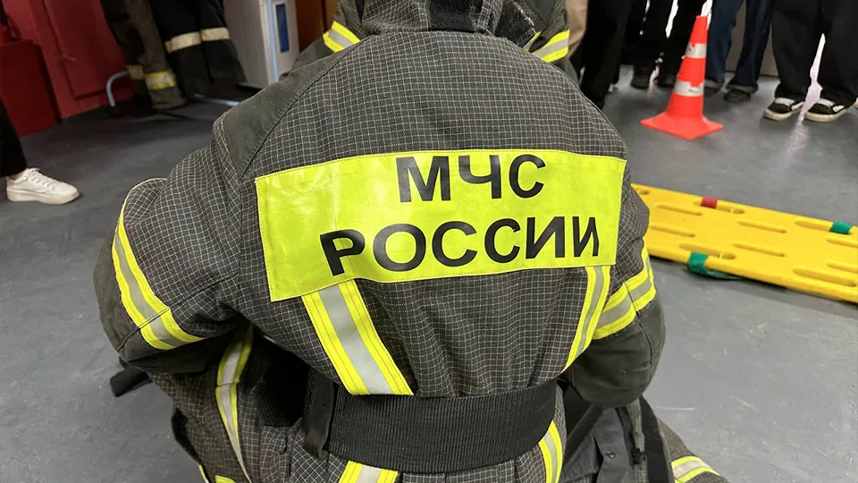 Фото: МедиаБанк Подмосковья/Эдуард Стратонов