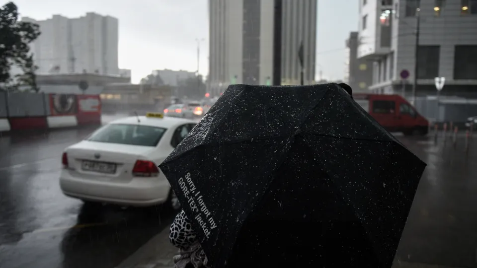 Фото: медиасток.рф