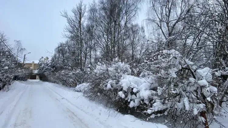 Единый портал торгов Московской области ЕАСУЗ