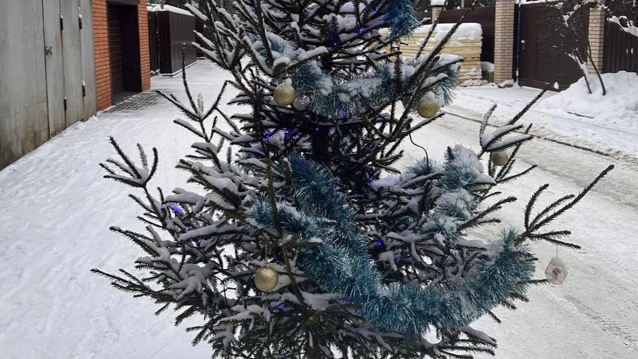 личный архив Марины