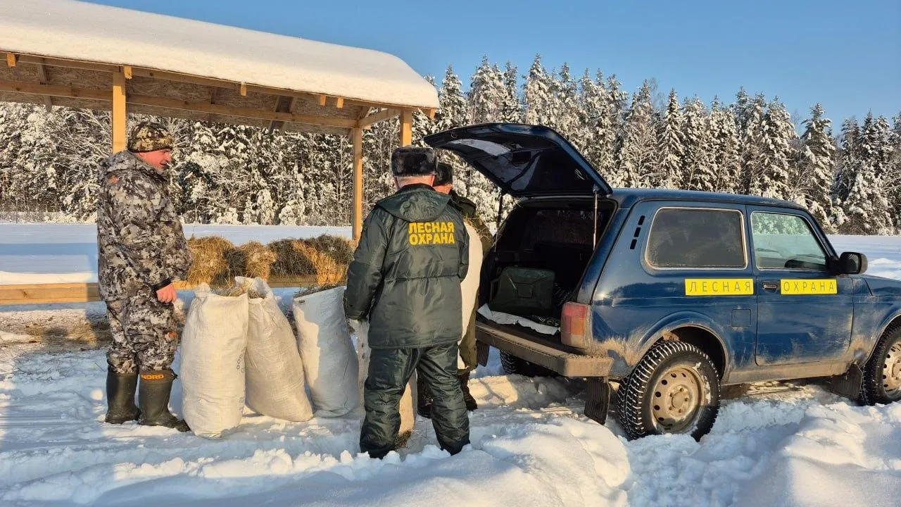 Наро-Фоминский филиал ГКУ МО «Мособллес»