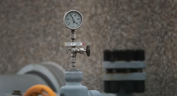 Журналист Боуз назвал фон дер Ляйен дурой за слова о доступном газе из США