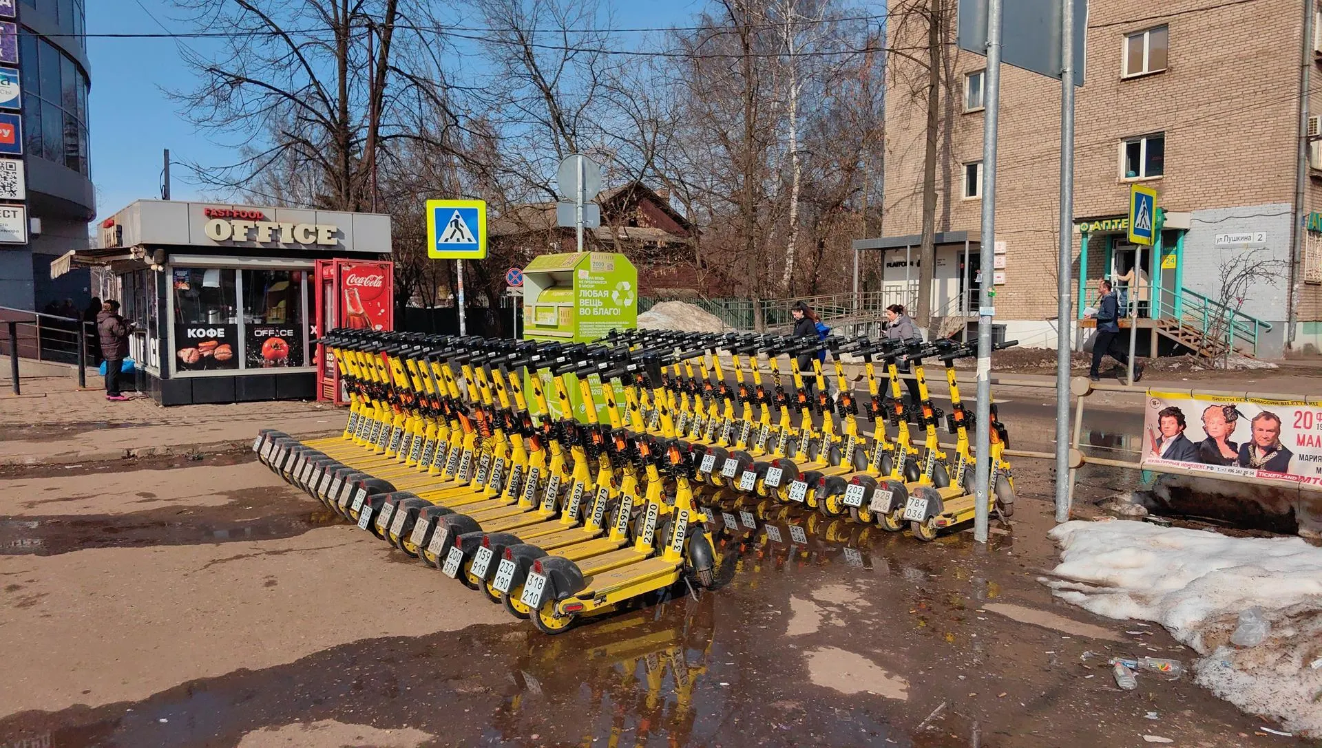 Елена Катасонова