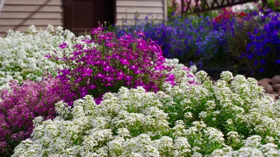 Фото: ООО «Агрофирма Партнер»