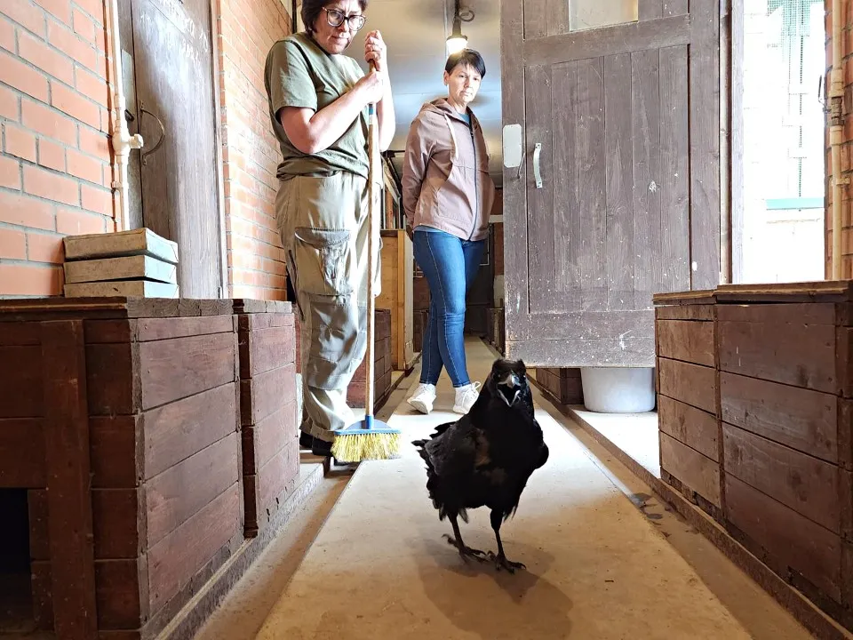 Фото: Дмитрий Беденко