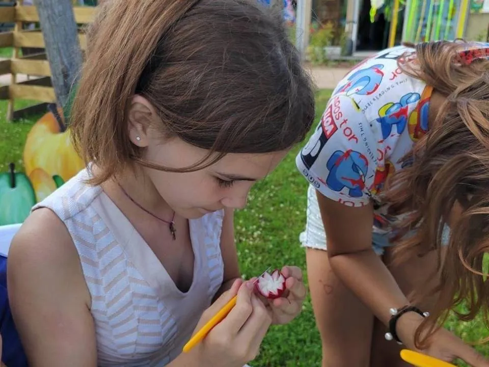 Фото: Министерство образования Московской области