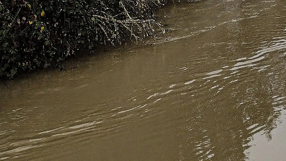 Фото: unsplash.com