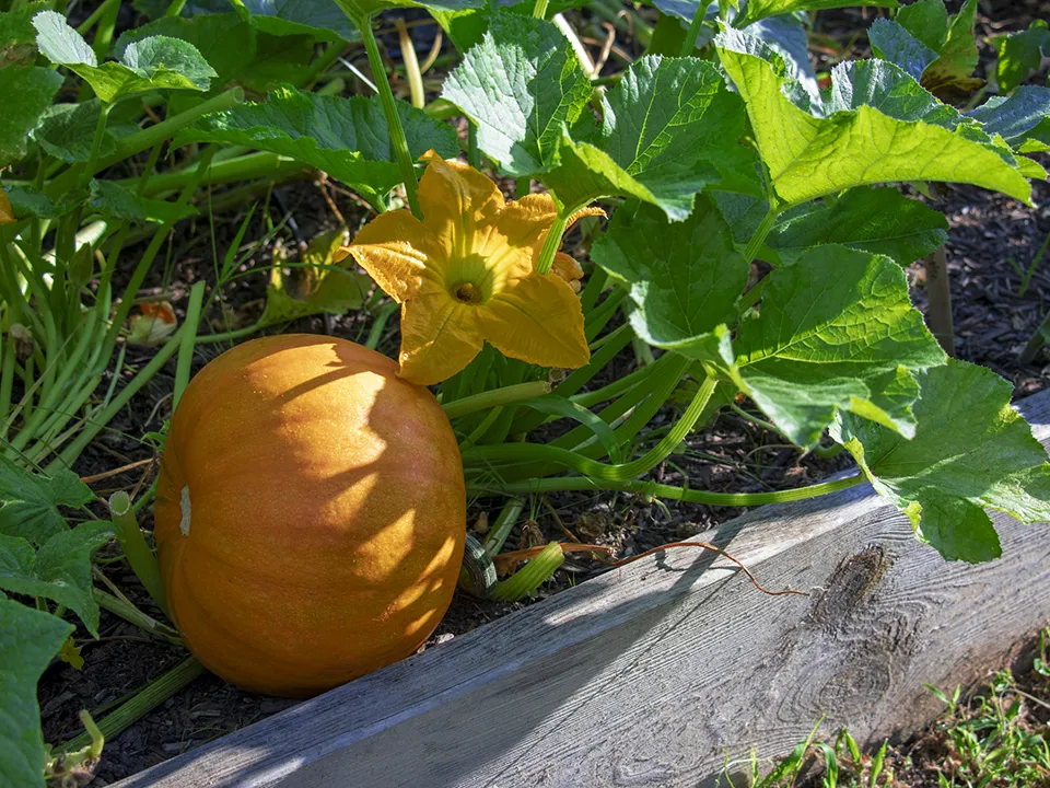 Фото: istockphoto.com