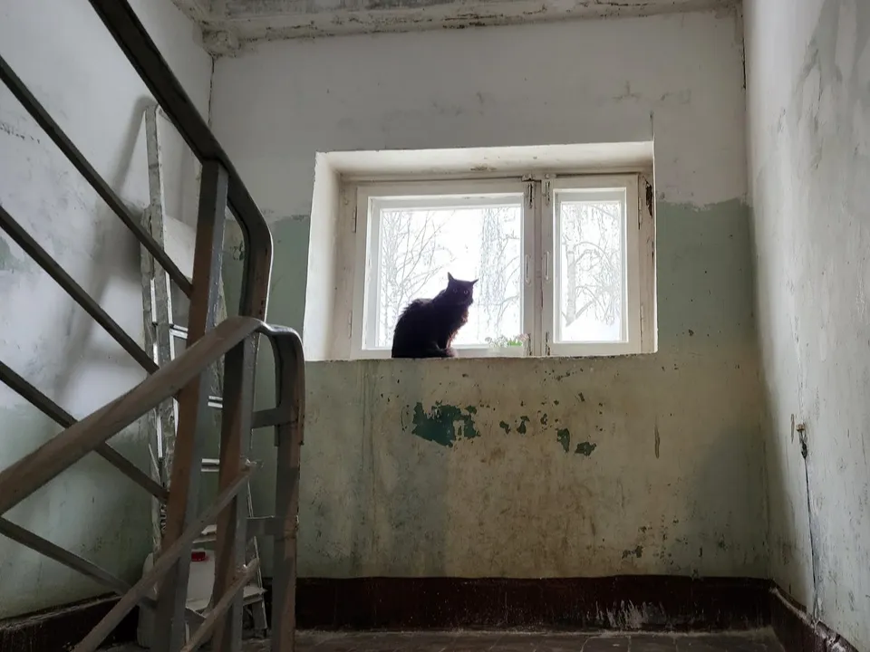 Фото: Ольга Антонова