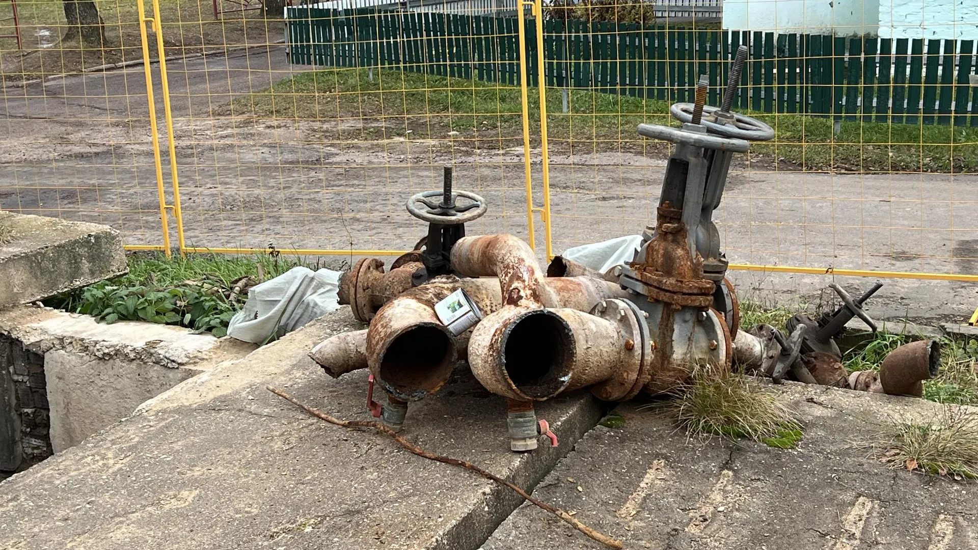 Фото: REGIONS/Аннета Юрасова