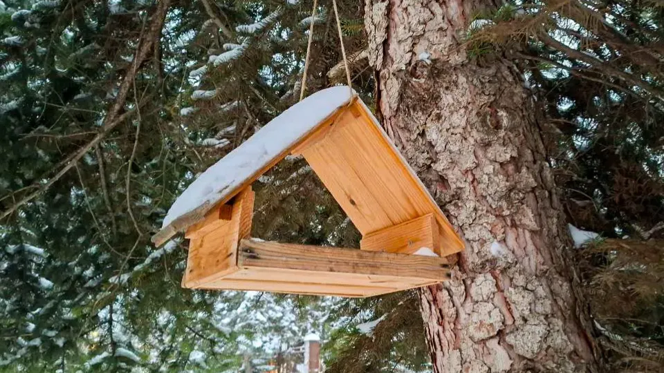 Фото: REGIONS/Юлия Габбасова