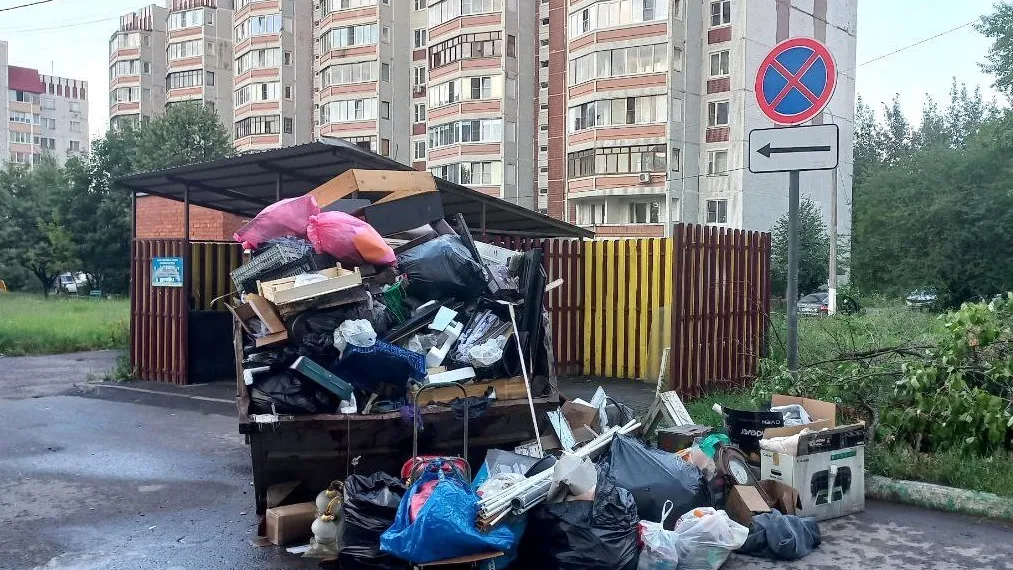 Фото: Олег Книжник