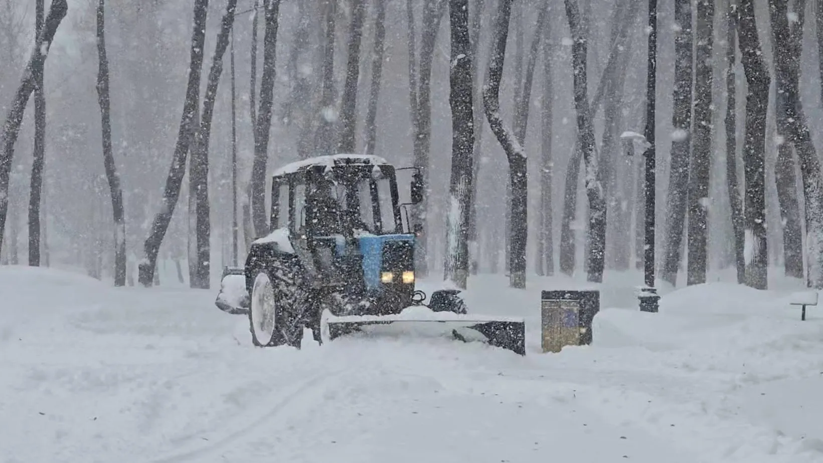 МедиаБанк Подмосковья/Марина Анисимова