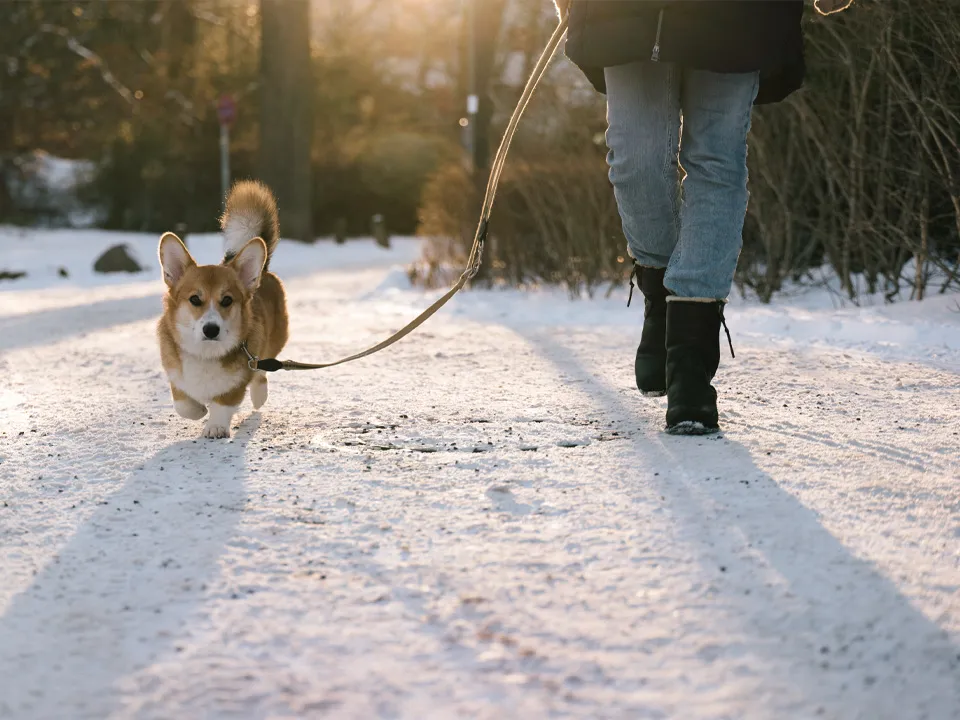 Фото: istockphoto.com/fotografixx&nbsp;