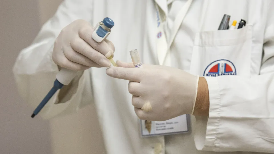 Фото: pxhere.com