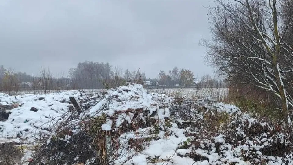 Фото: Министерство экологии и природопользования Московской области