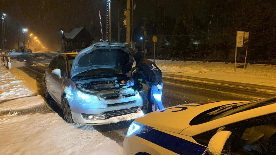 Фото: Госавтоинспекция Московской области