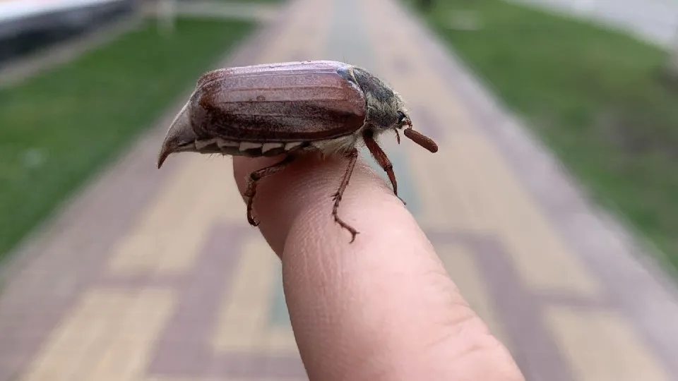 Фото: МедиаБанк Подмосковья/Андрей Семибратов