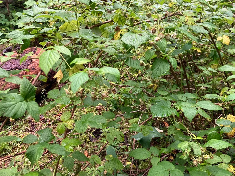 Фото: REGIONS\Екатерина Сарычева