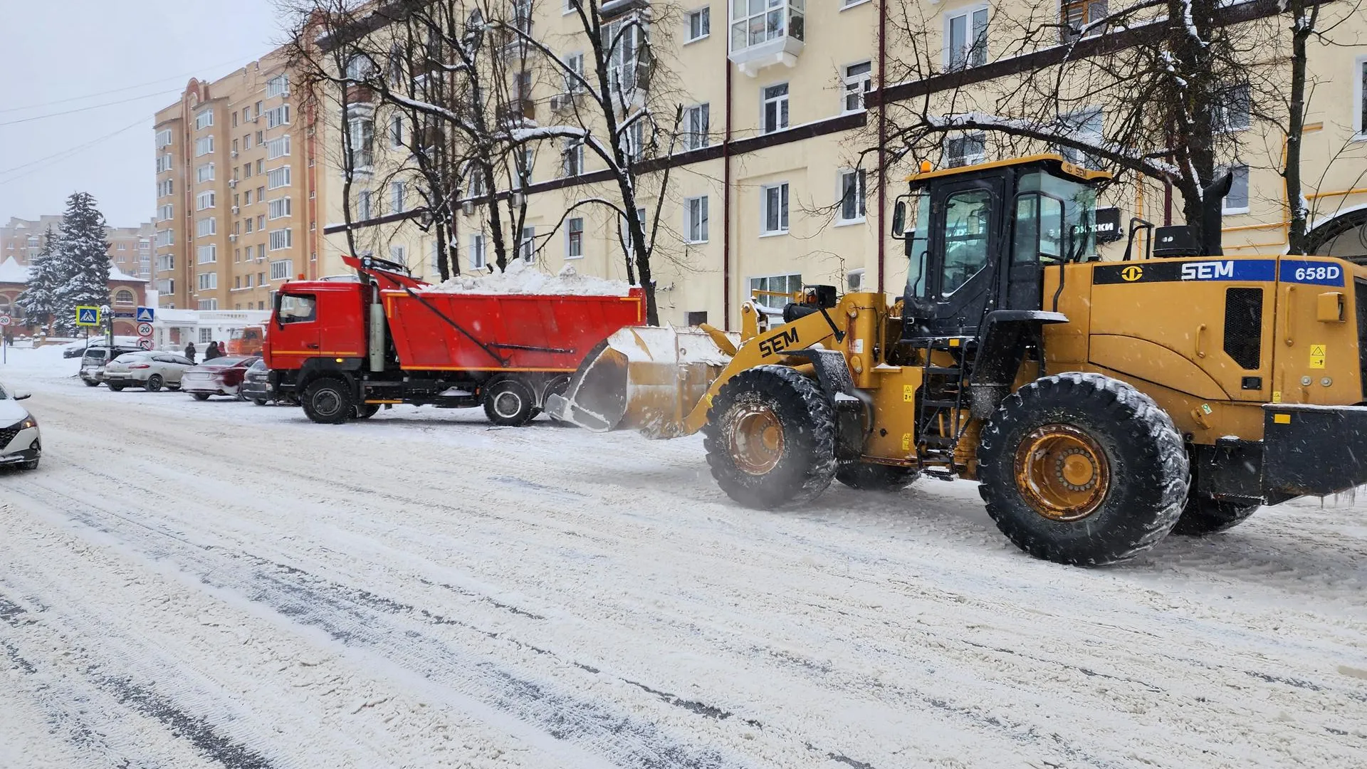 Фото: МедиаБанк Подмосковья/Ирина Моисеева