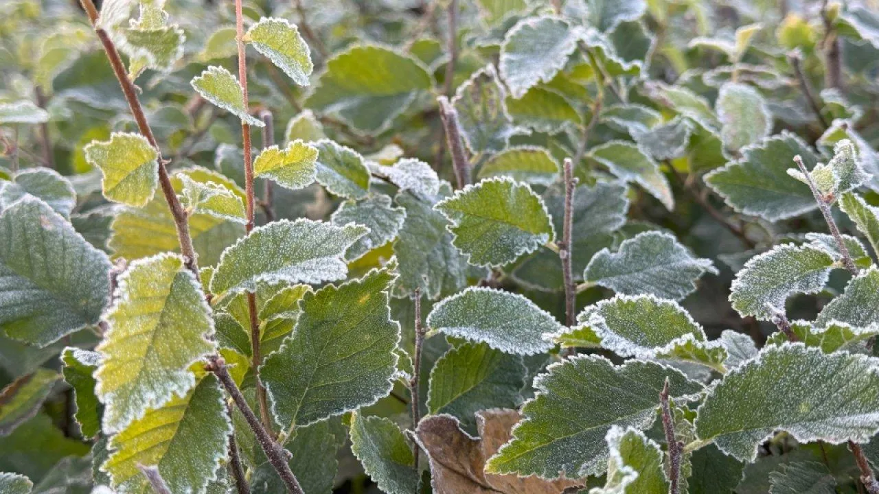 REGIONS/Илья Попов