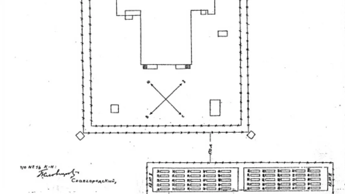 Марина Беленькая